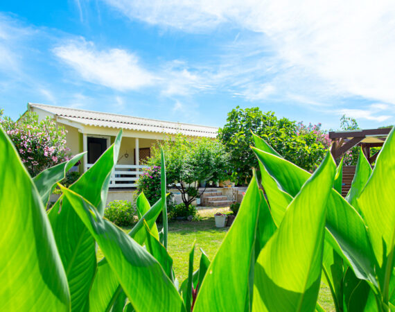 Holiday Rooms @Pretty Spiti