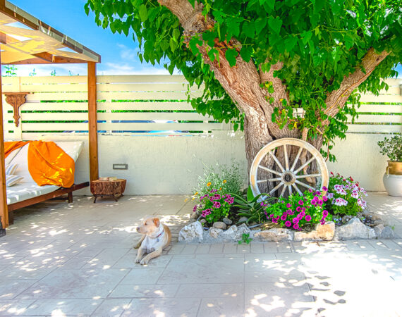 Pretty Spiti Holiday Home_Patio (12 of 17)