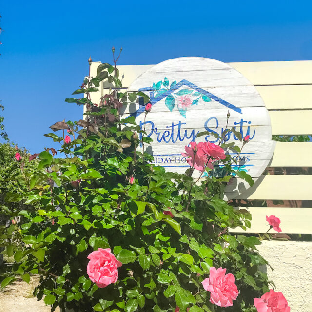 Welcome to Pretty Spiti