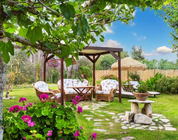 PrettySpiti_POPPY-Garden setting