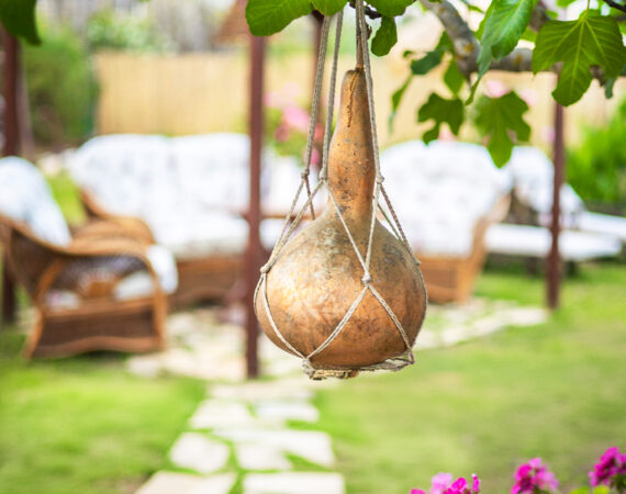 PrettySpiti_Poppy Garden 1